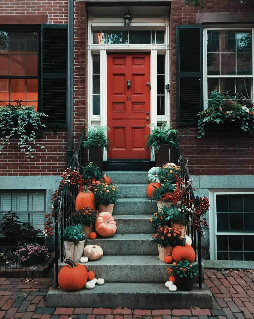 Image of pumpkins in front of stairs for Thanksgiving and Friendsgiving 2024 Blog post at Bloggey.com - Images free courtesy of Pexels.com at https://www.pexels.com/photo/pumpkins-on-stairs-in-front-of-a-door-3142467/